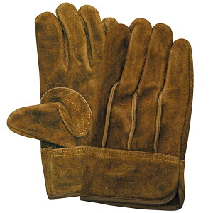 y|Cg10{zyVX[p[SAIL(12/4~12/11) vGg[ ICv KS445 uE wD LTCY 10o