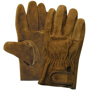 y|Cg10{zyVX[p[SAIL(12/4~12/11) vGg[ ICv KS846 uE }WbN LTCY 10o