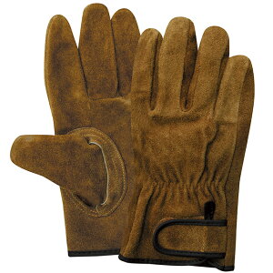 y|Cg10{zyVX[p[SAIL(12/4~12/11) vGg[ ICv KS847 uE D }WbN LTCY 10o