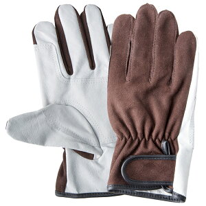 y|Cg10{zyVX[p[SAIL(12/4~12/11) vGg[ ؊vLkn 2730 }Oi MTCY(10o)