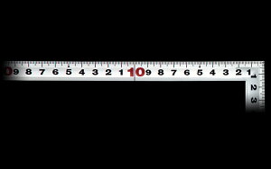 ���|�C���g10�{�� 4/14~4/17 ���������}���\��(�v�G���g���[) �ȎڃV���o�[30cm�S�H�p 10294SL-30CM