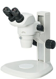 y|Cg10{z11/1̓_tf[ǏiWZbgSMZ745-1