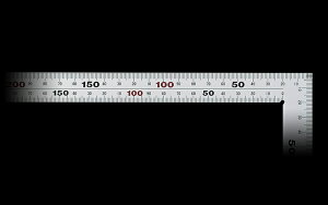 ���|�C���g10�{�� 4/4~4/10 ���������}���\��(�v�G���g���[) �Ȏ� ����V���o�[50cm10405