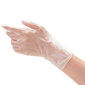 y|Cg10{z12/1̓_tf[Ies{O[urj[ MTCY@(100)