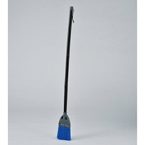 y|Cg10{zyVX[p[SAIL(12/4~12/11) vGg[ aق BLM|1S 146150