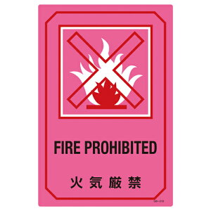 ���|�C���g10�{��7/1�̓����_�t���f�[�I�p��������T�C���W�� GB�|210 095210
