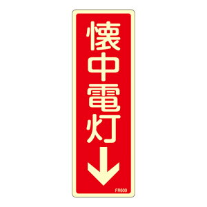 y|Cg5{z11/14~11/16JÁIyVC[OXӍ × |CgAbv(vGg[)ΊW FR609 066609