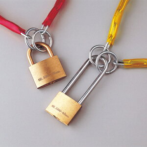 y|Cg10{zyVX[p[SAIL(12/4~12/11) vGg[ L[bNi싞j L[bN|B 195062