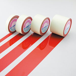 y|Cg10{z11/1̓_tf[IK[he[v GT|101R 148134