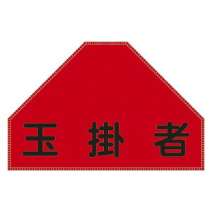 ���|�C���g10�{�� �y�V�X�[�p�[SAIL(6/4~6/11) ���v�G���g���[ �x�X�g�p�[�b�P�� BZ�|6U 238156