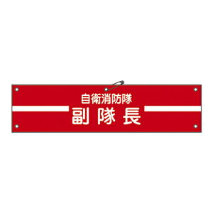 y|Cg10{zyVX[p[SAIL(12/4~12/11) vGg[ qhpr q| 2 236002