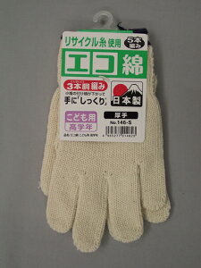 y|Cg5{z11/14~11/16JÁIyVC[OXӍ × |CgAbv(vGg[)#146-S GRȌ菃Ȏ #146-S