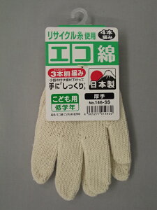 y|Cg10{z11/1̓_tf[I#146-SS GRȌ菃Ȏ #146-SS