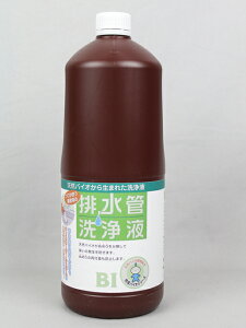 �y�|�C���g10�{�z�y�V�X�[�p�[SAIL(12/4~12/11) ���v�G���g���[ #1976 �r���ǐ��t 1.8���b�g��