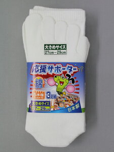 y|Cg10{z12/1̓_tf[I#2203-3P T|[^[5{w V LL 3g #2203-3P