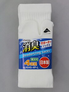 y|Cg10{z12/1̓_tf[I#4045-4P-L LT|[^[wt4g #4045-4P-L