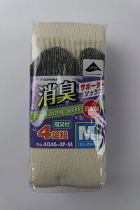 y|Cg10{z12/1̓_tf[I#4046-4P-M LT|[^[wtLi4g #4046-4P-M