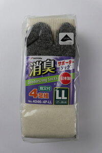 y|Cg10{z12/1̓_tf[I#4046-4P-LL LT|[^[wtLi4g #4046-4P-LL