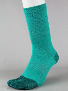 y|Cg10{z12/1̓_tf[I#4033-4P-L LT|[^[\bNXwt J[ #4033-4P-L