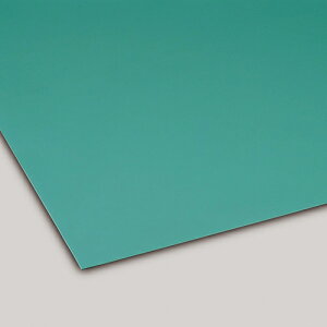 y|Cg10{z11/20~11/27 ubNtCf[x|CgAbv(vGg[) J[dSV[g 2mm  1m×20m MR1440101