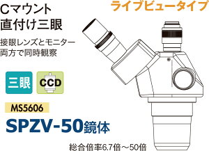 yXz11/5`11/11܂Ń|Cg5{IIJ[gw ̒P̎OY[ 6.7x`50x