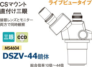 yXz11/5`11/11܂Ń|Cg5{IIJ[gw ̒P̎OY[ 10x`44x