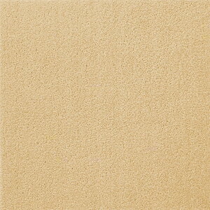 y|Cg10{z12/1̓_tf[I() A^bN270 LoXt@C 10 N[ AK2702  CeA Ƌ ^C J[ybg  tA 