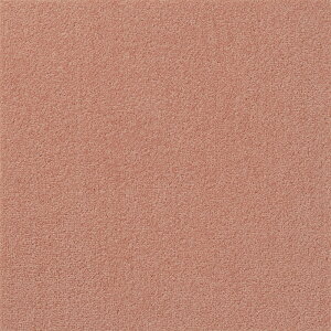 y|Cg10{z12/1̓_tf[I() A^bN270 LoXt@C 10 s[` AK2709  CeA Ƌ ^C J[ybg  tA 