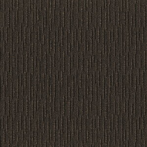 y|Cg10{zyVX[p[SAIL(12/4~12/11) vGg[ () XNGA2100 TCU[v 10 Ebh FF2102  CeA Ƌ ^C J[ybg  tA 