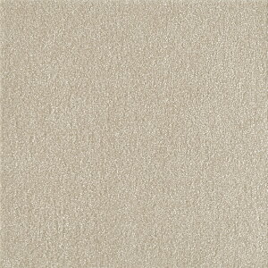 y|Cg10{z11/1̓_tf[I() XNGA2400 \ 10 p[ FF2401  CeA Ƌ ^C J[ybg  tA 