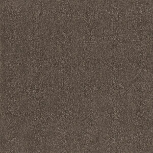 y|Cg10{z11/1̓_tf[I() XNGA2400 \ 10 AbV FF2402  CeA Ƌ ^C J[ybg  tA 