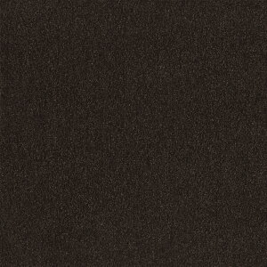 y|Cg5{z10/4~10/9JÁI}\(vGg[) () XNGA2400 \ 10 ZsA FF2404  CeA Ƌ ^C J[ybg  tA 