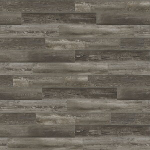 y|Cg10{zyVX[p[SAIL(12/4~12/11) vGg[ ^tebN^C LHT3561 X[NuEI[N yF14z  CeA Ƌ ^C J[ybg  tA 