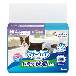 y|Cg10{zyVX[p[SAIL(12/4~12/11) vGg[ }i[EFA ԉKIc jp^p 16