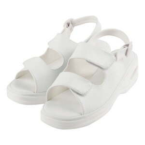 y|Cg10{zyVX[p[SAIL(12/4~12/11) vGg[ gȊB GA[2ohT_zCg Si21D5-22D0CMj 24-8159-0001 gÑJ^Ob}cV@̔ZbgF1