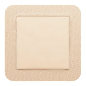 y|Cg5{z11/14~11/16JÁIyVC[OXӍ × |CgAbv(vGg[)gȊB sbNX{[_[veNgXNG 295660i17X20j5}CC 24-8591-02 gÑ