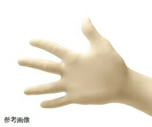 y|Cg10{z11/20~11/27 ubNtCf[x|CgAbv(vGg[) gȊB G{[V S 100 0950610@̔ZbgF1