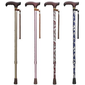 yXz11/5`11/11܂Ń|Cg5{IIgȊB XebL x[VbNiLkjS WB3718iniKAIj 1{ tWz[ 24-3083-03@̔ZbgF1