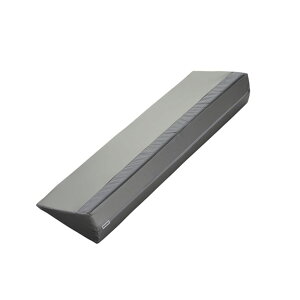 y|Cg10{z11/1̓_tf[IgȊB T[eBpbhPRO Ag 800 DSP-800i{EXC^Cvj 1 CmAbNrO 24-7751-00@̔ZbgF1 a Ō ጃPApipbh 