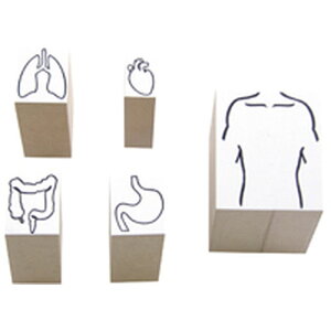 y|Cg5{z11/14~11/16JÁIyVC[OXӍ × |CgAbv(vGg[)gȊB l̐}^SZbg 5VC 1g eBeBfBJ 24-6463-00@̔Zbg