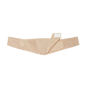 y|Cg10{z12/1̓_tf[IgȊB obNXix[WjS 033962 1 | 24-6206-00@̔ZbgF1