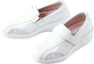 y|Cg10{z12/1̓_tf[IgȊB xmSi[X i[XV[Y@ri[X FT-3izCgj 23D5cM@̔ZbgF1