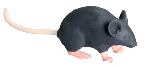 y|Cg10{zyVX[p[SAIL(12/4~12/11) vGg[ OTvC }EX^V~[^[hMimicky Mouseh MIT201