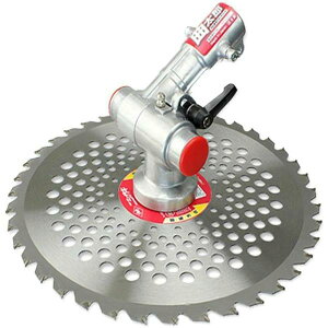 y|Cg10{z11/20~11/27 ubNtCf[x|CgAbv(vGg[) jVKLH ȑY N-798 _ |  oJ `F\[ `bv\[