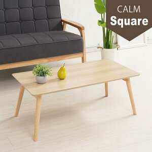 y|Cg5{z10/24~10/27JÁI}\(vGg[) i䋻Y J[e[u(XNGA) CALM-100NA Ƌ CeA GNXeA  G