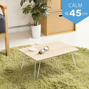 y|Cg10{z11/1̓_tf[Ii䋻Y J[e[u(45) CALM-45NA Ƌ CeA GNXeA  G