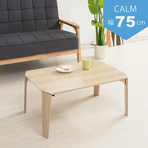 y|Cg10{z10/1̓_tf[Ii䋻Y J[e[u(75) CALM-75NA Ƌ CeA GNXeA  G
