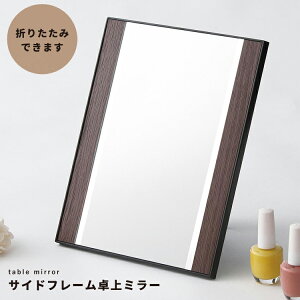 �y�|�C���g10�{�z12/19?12/26 �労�Ӎ�!! ���v�G���g���[ �i�䋻�Y �T�C�h�t���[�����~���[(WILSON) NK-269DBR �Ƌ� �C���e���A �G�N�X�e���A ���� �G��