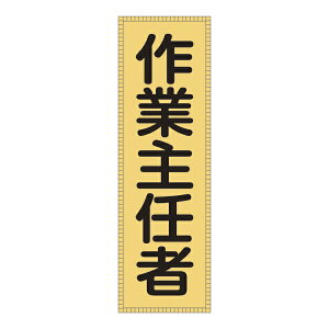 ���|�C���g10�{�� �y�V�X�[�p�[SAIL(6/4~6/11) ���v�G���g���[ ���{�Ώ\�� �x�X�g�p�[�b�P�� BZ�|3M