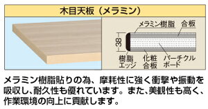 y|Cg10{z11/1̓_tf[ITJGIWiuh Ƒ IvVVidʗpV^ؖړVdlj W|1890MKTC